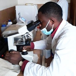 Analizando cultivos en el laboratorio